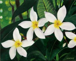 Voir le détail de cette oeuvre: Fleurs de frangipanier blanches